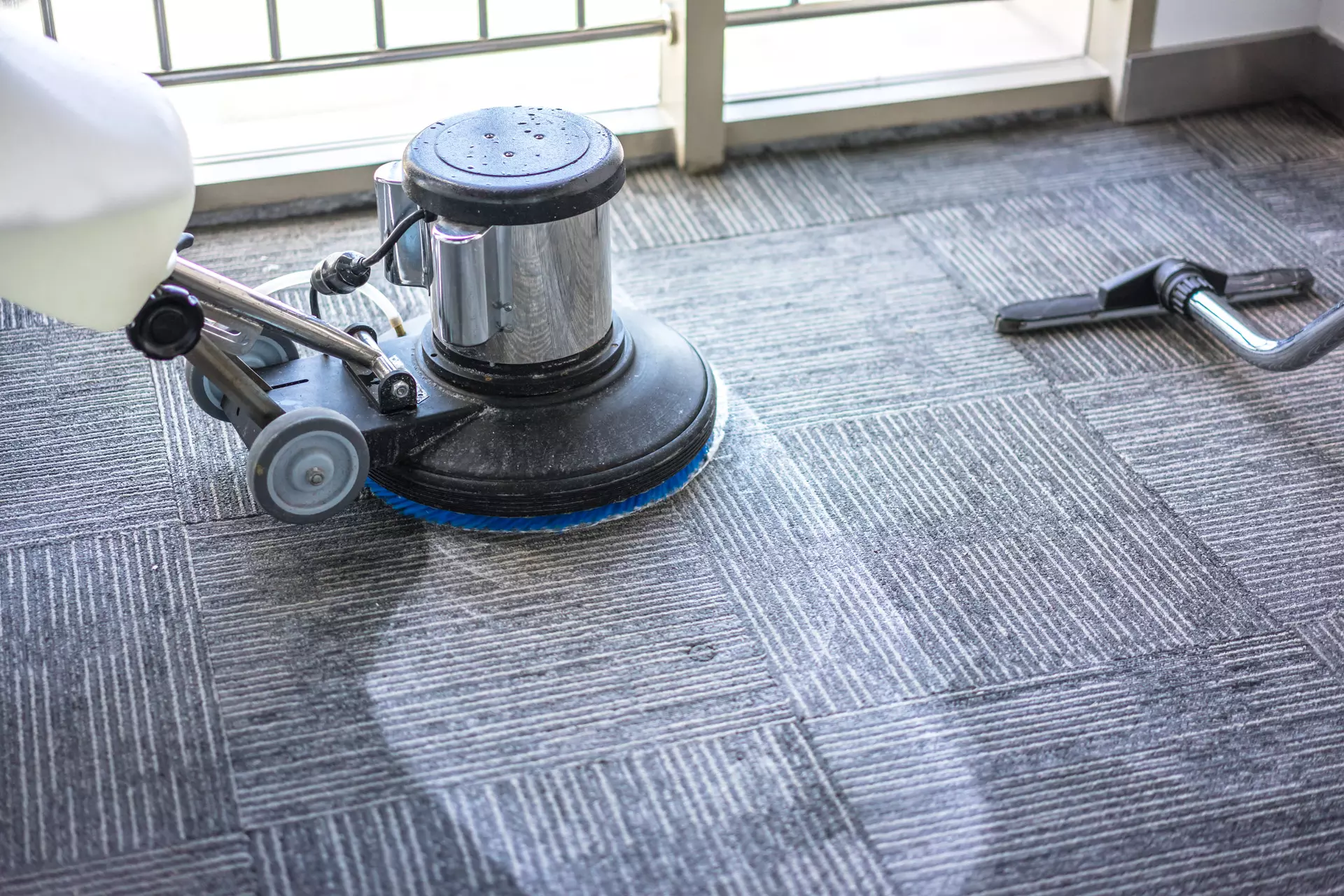 The Advantages of Hiring Professional Carpet Cleaning Services in Chicago
